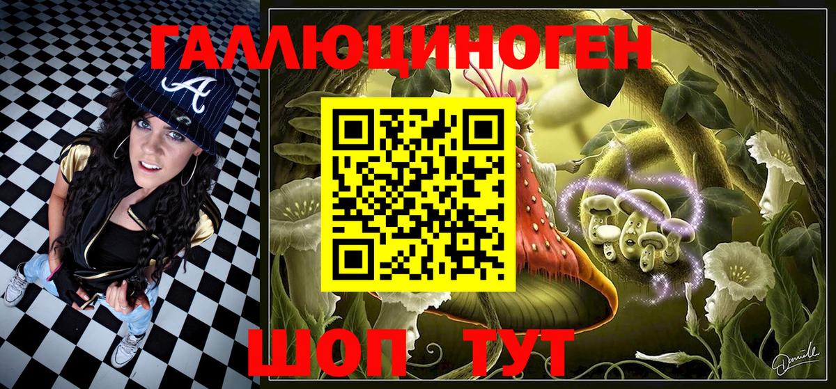 Новошахтинск  Галлюциногенные грибы MAGIC MUSHROOMS  Вход с VPN 